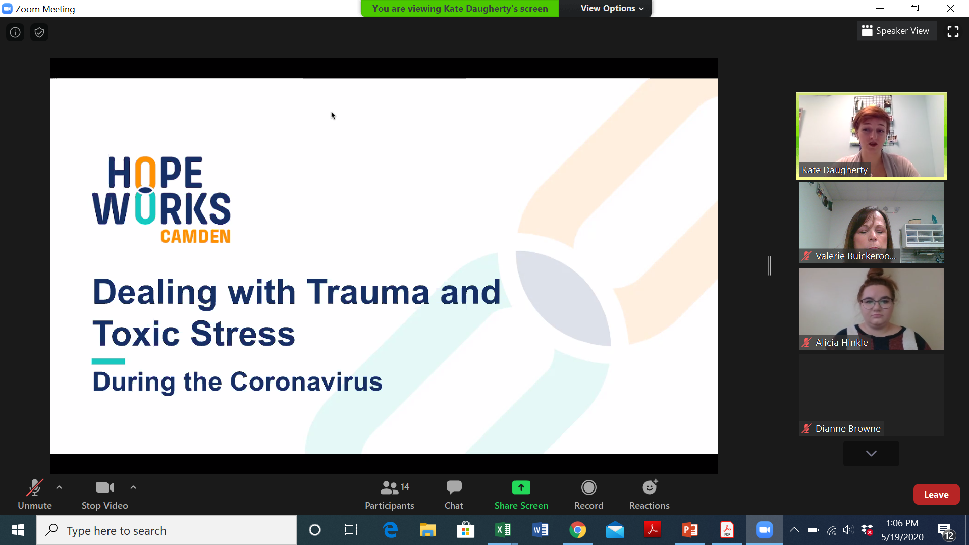 Youth Healing Team Previews Trauma Training Webinar AND Hires 2 New Interns!